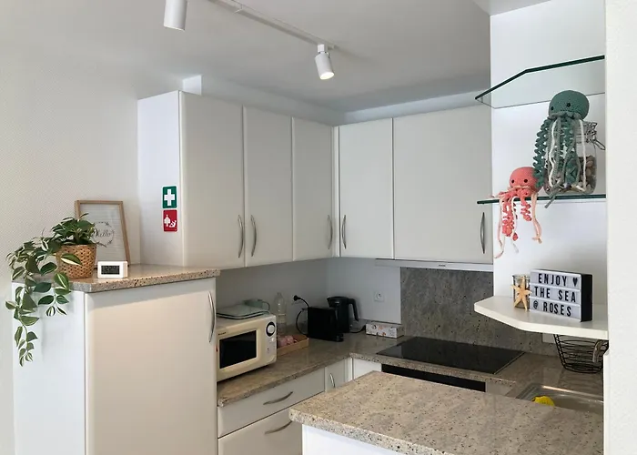 Vista Roses * Ostende