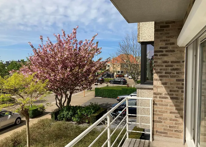 Vista Roses 奥斯滕德